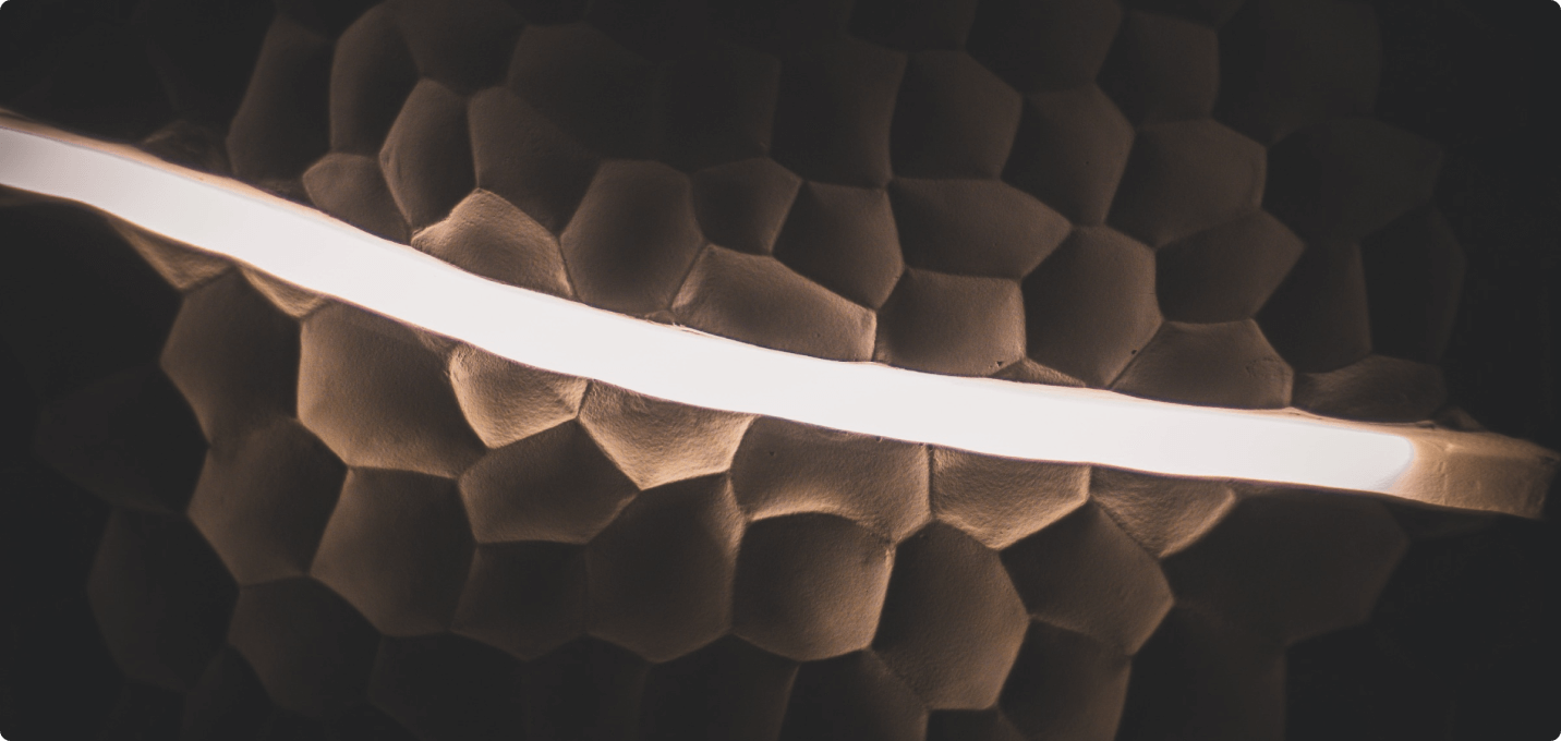 image dm trail blazers